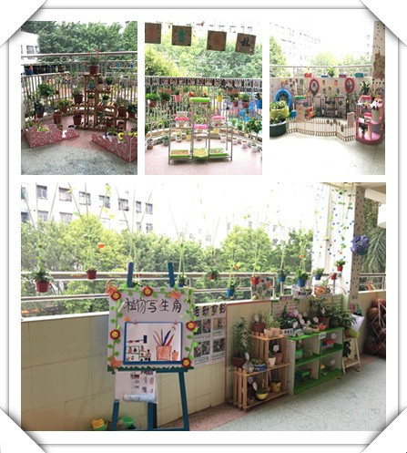 春暖花開，綠樹成蔭——遠(yuǎn)恒佳公明第二幼兒園自然觀察角大比拼