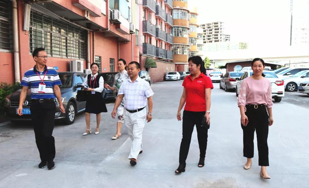 責(zé)任督學(xué)來校進(jìn)行11月督導(dǎo)，接待干部與受訪教師獲益匪淺