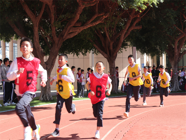 體育節(jié)閉幕 | 專家認(rèn)為：不僅是素質(zhì)教育展演， 更是愛國教育的大型體驗(yàn)活動(dòng)