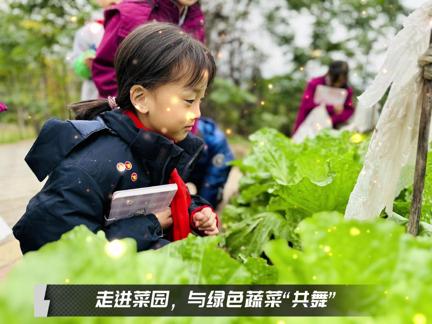 美好學(xué)校|留校時(shí)光，走出教室，與綠色蔬菜共舞