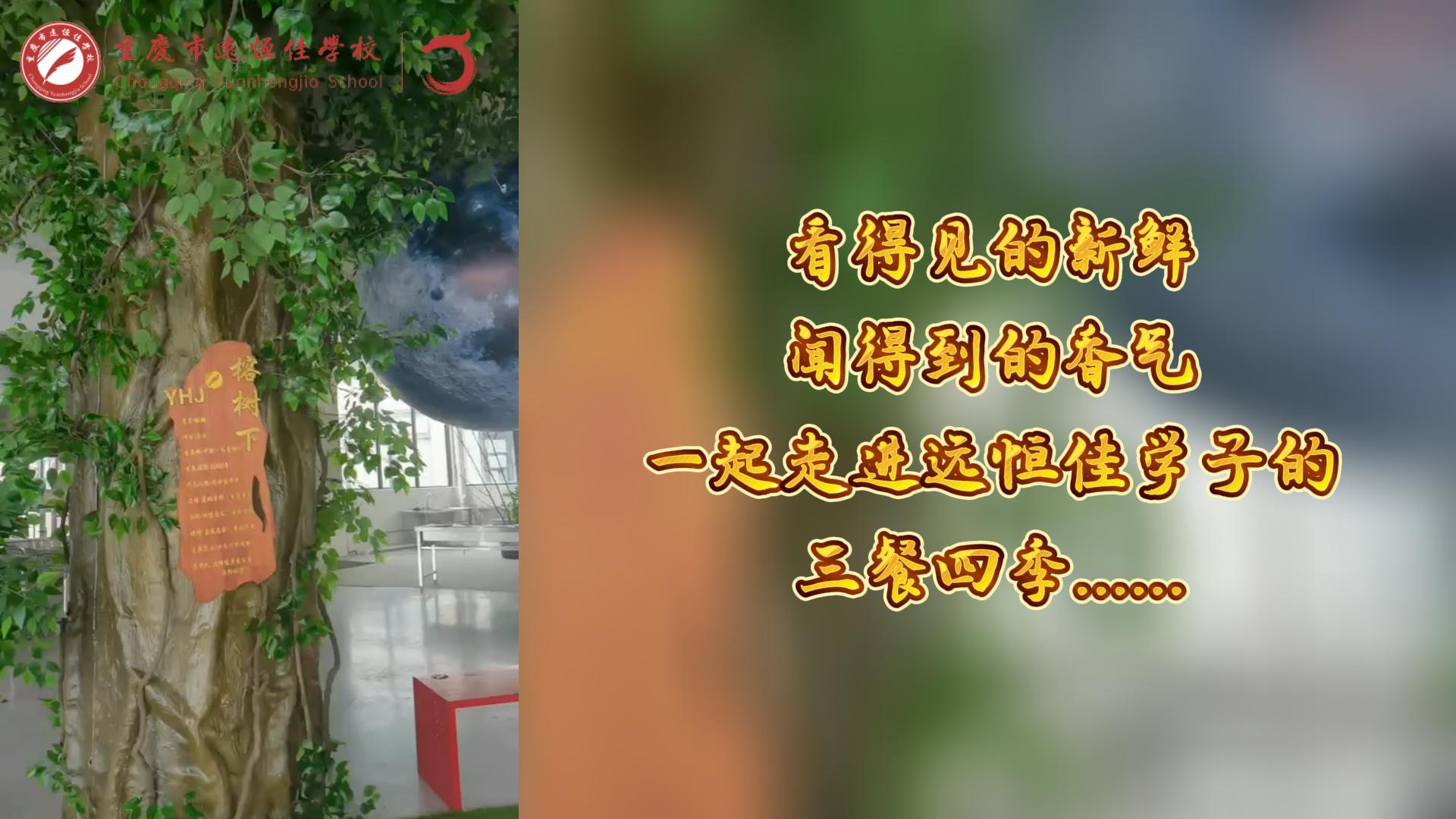 美好學(xué)校|看得見的新鮮，聞得到的香味，一起走進(jìn)遠(yuǎn)恒佳學(xué)子的三餐四季!